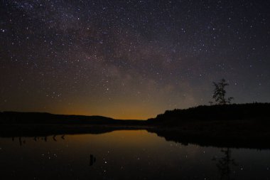 Güzel bir gece. Yıldızlı bir gökyüzü. Nehrin üstünde, ormanda.