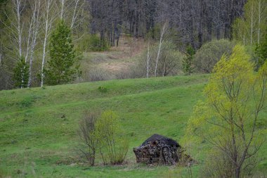 Ağaçların arasında yeşil bir alana yayılmış küçük bir kulübe.