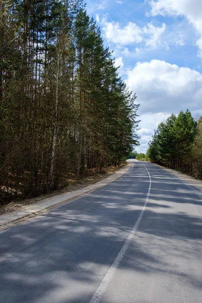 Estrada Floresta Que Estende Para Distância — Fotografia de Stock