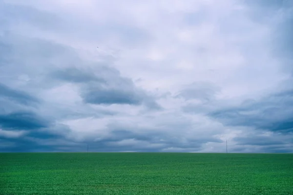 Gyönyörű Zöld Mező Táj Nyúlik Túl Horizonton Egy Felhős Napon — Stock Fotó