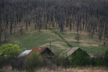 Baharda yeşil bir tepede yaprakları olmayan ağaçlar ve köy evlerinin çatıları.