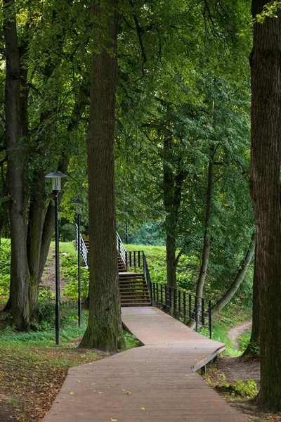 Bir Yaz Günü Ağaçların Arasında Parktaki Ahşap Patika — Stok fotoğraf