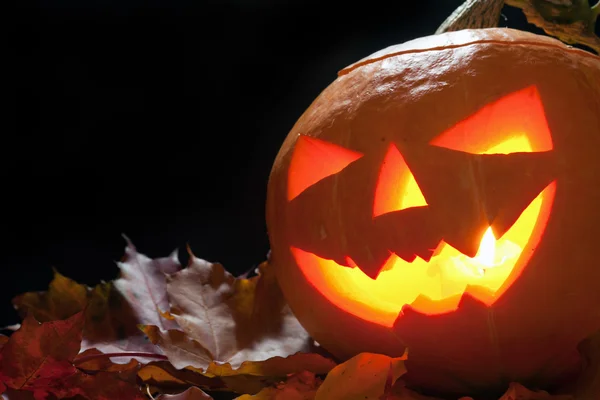 Jack O' Lantern — Stock Photo, Image