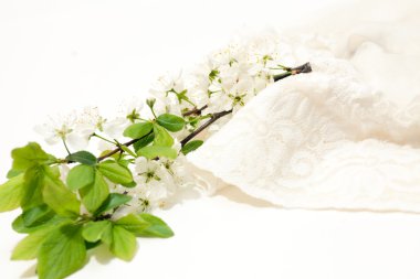 kiraz çiçekleri ve çorap