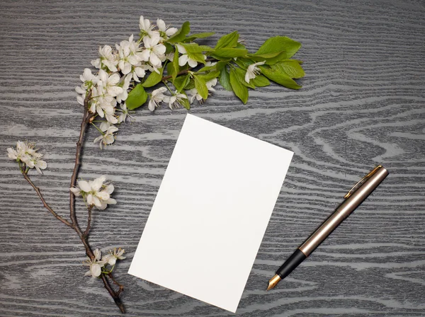 Wiśniowe kwiaty i papieru — Zdjęcie stockowe