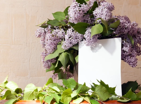 Lilacs in a vase — Stock Photo, Image