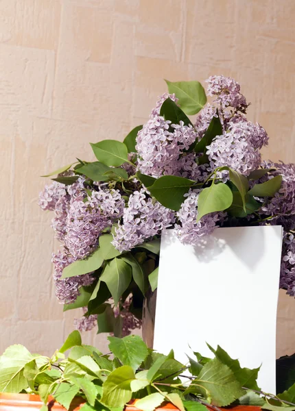 Lilacs em um vaso — Fotografia de Stock