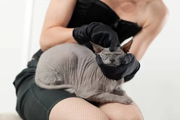 Cat and woman — Stock Photo, Image