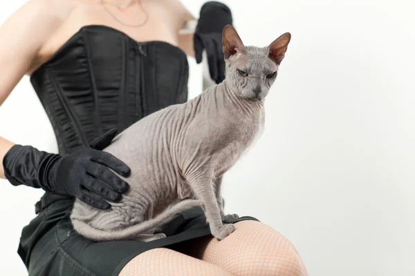 Cat and woman — Stock Photo, Image