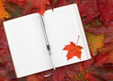 Defter ve akçaağaç yaprakları