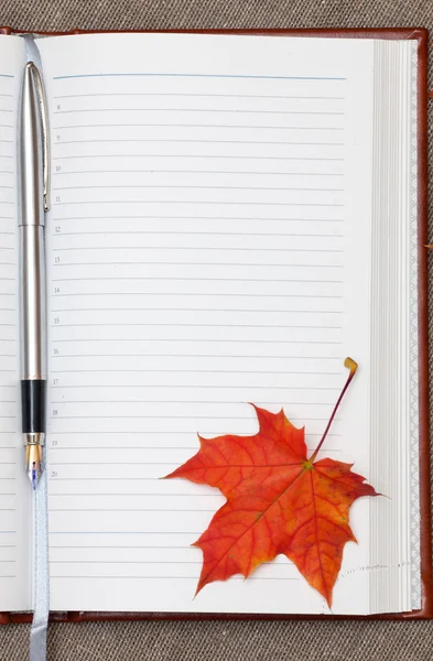 Anteckningsbok och maple leaf — Stockfoto