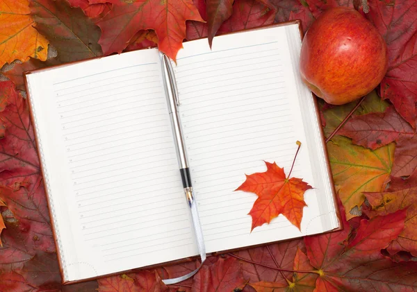 笔记本和枫树的叶子 — 图库照片