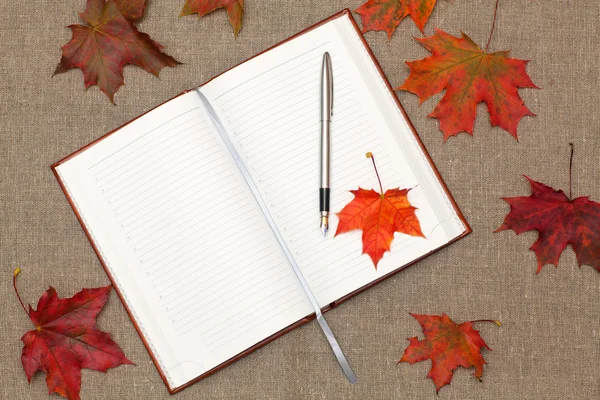 Notebook en esdoorn bladeren — Stockfoto