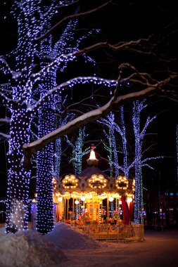 Parktaki atlı karınca.