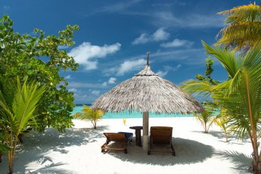 Tuval sandalye tropikal plaj