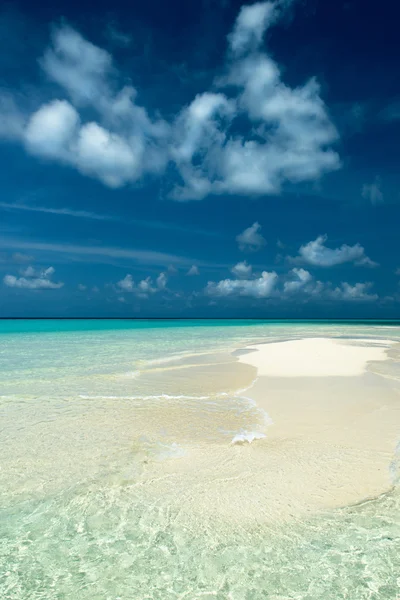 Тропічний пляж рай — стокове фото