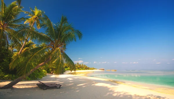 Romantic beach scenery on the maldives — Stock Photo, Image