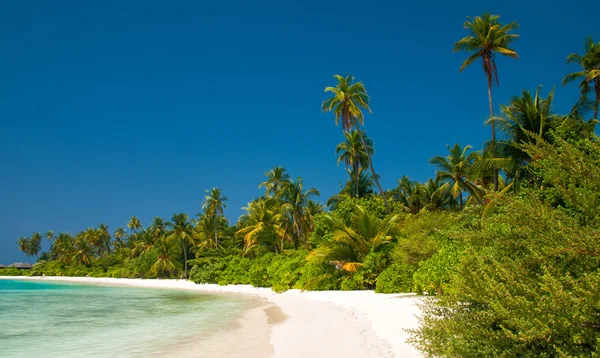 Тропический берег на Мальдивах — стоковое фото