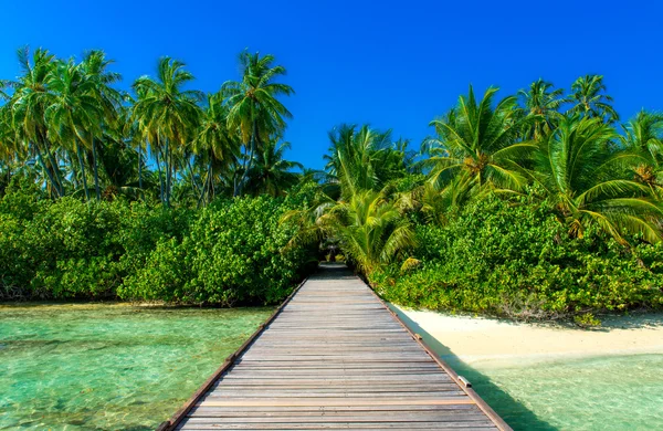 Jetty a isla tropical — Foto de Stock