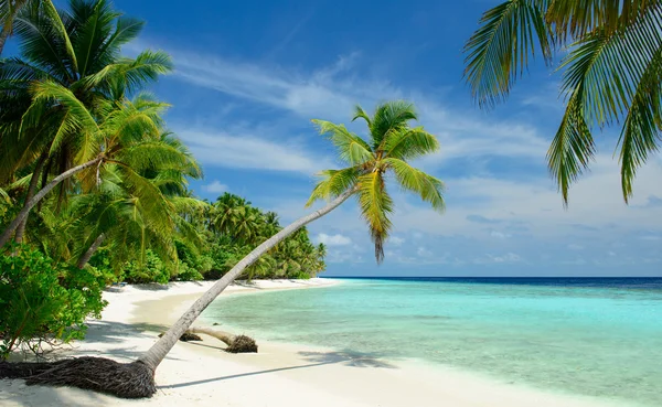 Hermosa playa — Foto de Stock