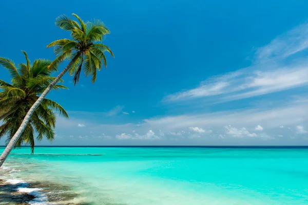 Maldivler üzerindeki tropikal plaj Telifsiz Stok Fotoğraflar
