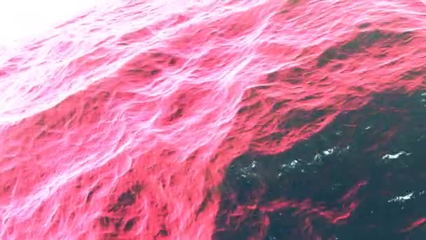 Kızıl Okyanus Su Yüzeyi Dalgaları 'nın üzerinde gezinen — Stok video