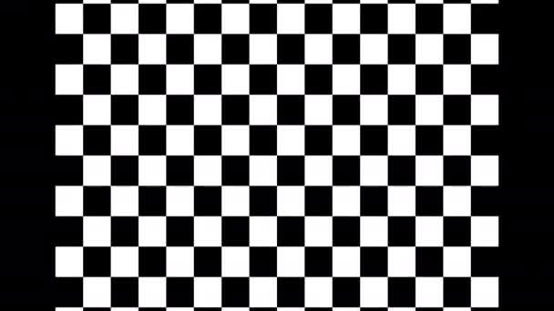 Rozciąganie Checkered Flag Kontrole rozciągania — Wideo stockowe