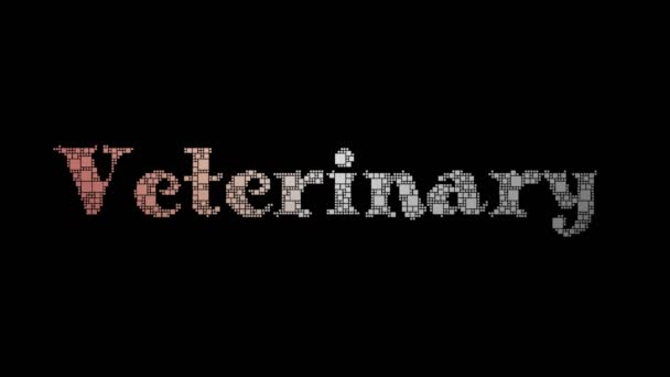 Veterinaire Geneeskunde Pixelated Text Warping Looping Boxen Met Glitch Effect — Stockvideo