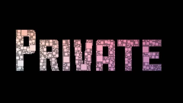 Particuliere Sector Pixelated Text Changing Looping Boxes Met Glitch Effect — Stockvideo