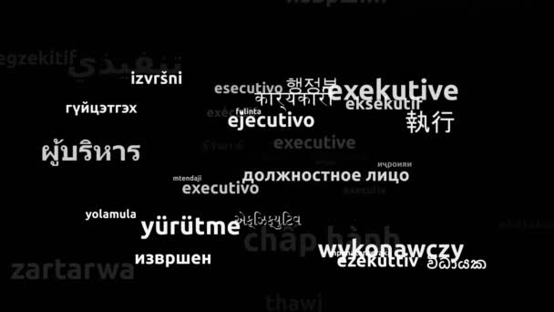 Ejecutivo Traducido Idiomas Mundiales Endless Looping Zoom Wordcloud Mask — Vídeo de stock