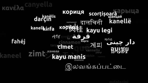 Canela Traducido Idiomas Mundiales Endless Looping Ampliación Máscara Wordcloud — Vídeo de stock