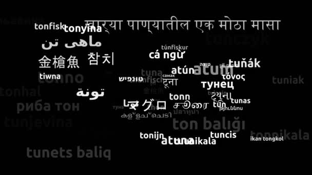 Tonijn Vertaald Wereldwijde Talen Endless Looping Zooming Wordcloud Mask — Stockvideo