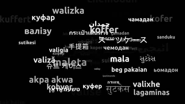 Suitcase Vertaald Wereldwijde Talen Endless Looping Zooming Wordcloud Mask — Stockvideo