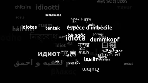 Idiota Przetłumacz Komentarz Przetłumaczone Przez Worldwide Languages Endless Looping Zooming — Wideo stockowe