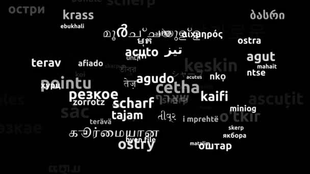 シャープは77の世界中の言語で翻訳されましたエンドレスループ3Dズームワードクラウドマスク — ストック動画
