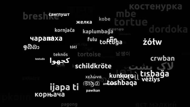 Tartaruga Tradotta Lingue Tutto Mondo Looping Infinito Maschera Wordcloud Zoom — Video Stock