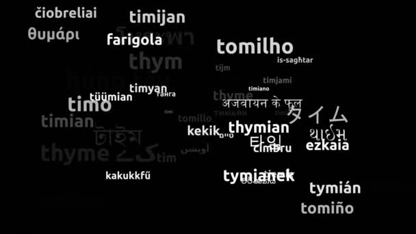 Thyme Перекладено Мовами Світу Нескінченна Петля Збільшення Wordcloud Mask — стокове відео