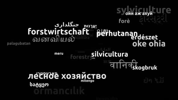 Silvicultura Traducido Idiomas Mundiales Endless Looping Ampliación Máscara Wordcloud — Vídeo de stock