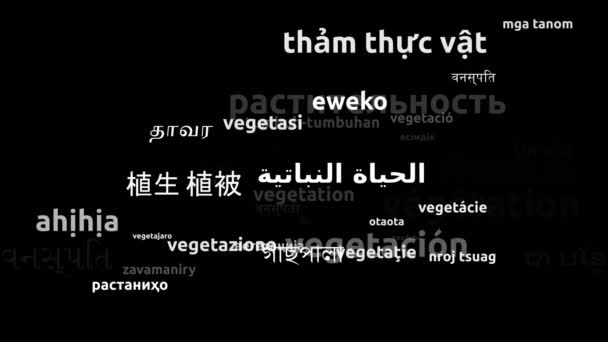 Vegetação Traduzida Idiomas Todo Mundo Endless Looping Zooming Wordcloud Mask — Vídeo de Stock
