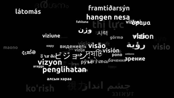 Vision Translated Worldwide Languages Endless Looping Zooming Wordcloud Mask — Stock Video