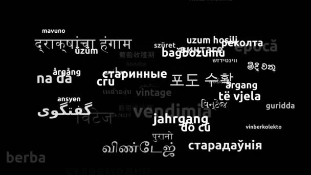 Dünya Çapında Çevrilmiş Vintage Çevirisi Sonsuz Döngüsüz Odaklanma Kelime Bulutu — Stok video