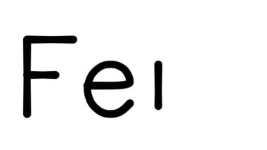 Çeşitli Sans-Serif Yazı Tipleri ve Ağırlıkları ile Fern El Yazısı Metni CanlandırmasıName