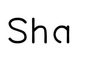 Çeşitli Sans-Serif Yazı Tipleri ve Ağırlıkları ile Şal El Yazısı Metni Canlandırması