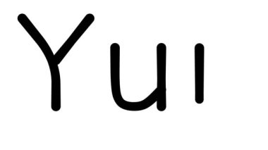 Evet, Çeşitli Sans-Serif Yazı Tipleri ve Ağırlıkları ile El Yazısı Animasyonu