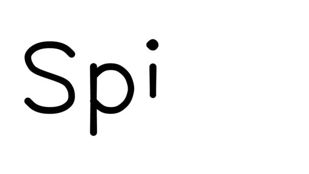 Spice Animação Texto Manuscrito Várias Fontes Pesos Sans Serif — Vídeo de Stock