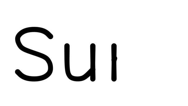 確かに様々なサンセリフフォントや重みで手書きのテキストアニメーション — ストック動画