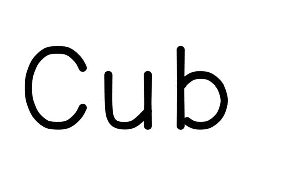 Cube Handwritten Text Animation Various Sans Serif Fonts Weights — 비디오