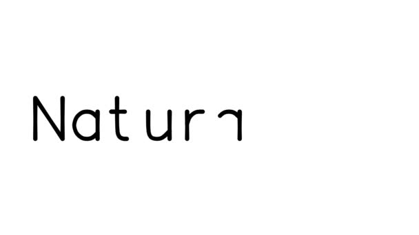 자연주의 Handwritten Text Animation Various Sans Serif Fonts Weights — 비디오