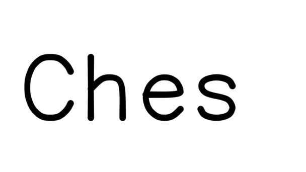 Chess Handwritten Text Animation Various Sans Serif Fonts Weights — Stock Video