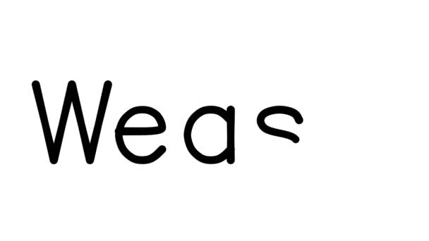 Weasel Kézzel Írott Szöveg Animáció Különböző Sans Serif Betűtípusok Súlyok — Stock videók